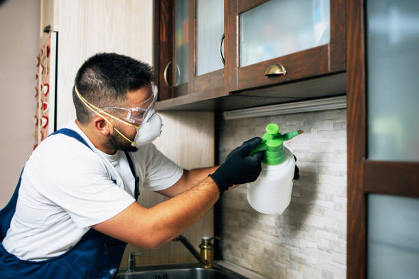Best Pest Inspection Near Me  in Kensington Park, FL