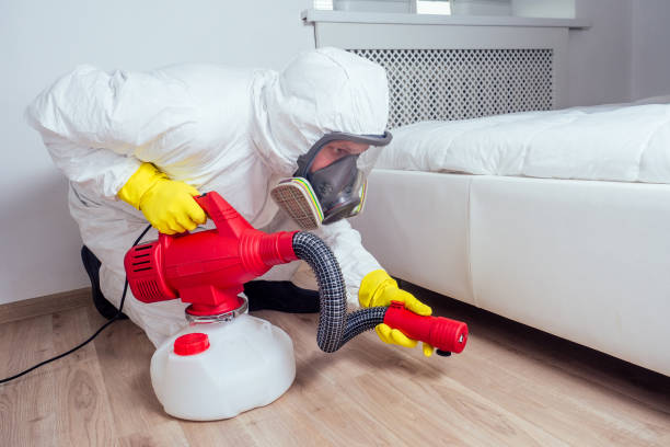 Best Affordable Pest Control Services  in Kensington Park, FL