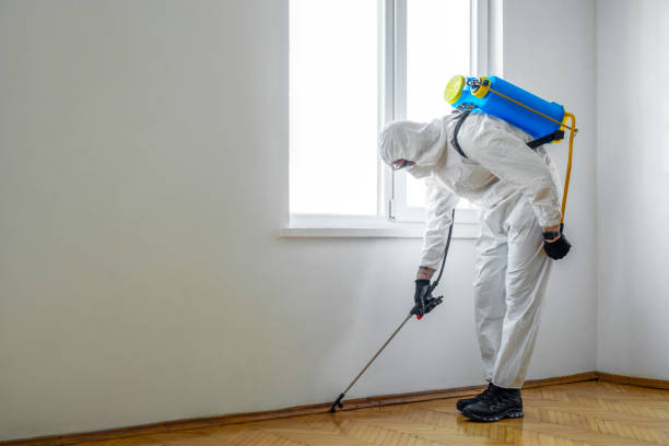 Best Insect Control  in Kensington Park, FL
