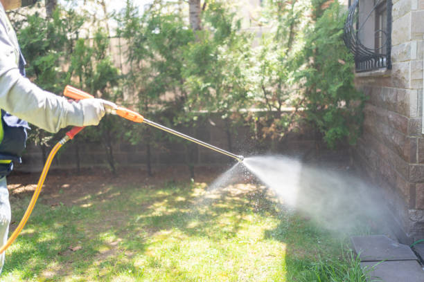Best Pest Prevention Services  in Kensington Park, FL