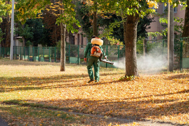 Best Best Pest Control Companies  in Kensington Park, FL