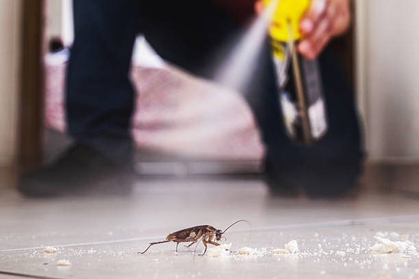 Professional Pest Control in Kensington Park, FL